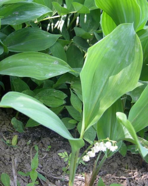 北京启动对批发市场等每日监测机制 确保供应稳定